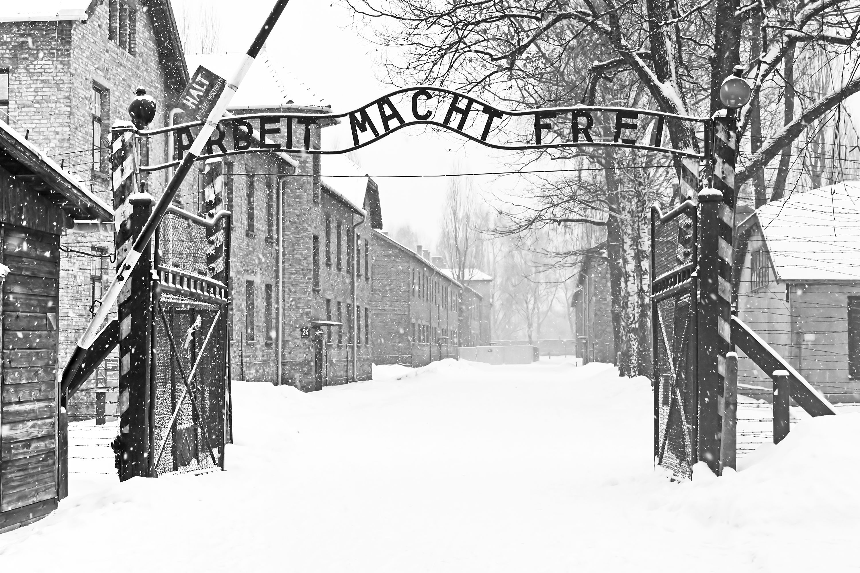 Holocaust (Auschwitz)